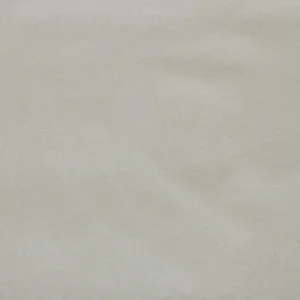 Tela Hindú de Textti