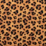 Leopardo 3