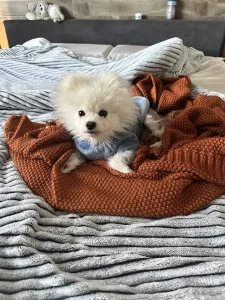 Manta de Punto Trenzado CozeCube Foto de Cliente