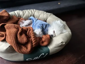 Manta de Punto Trenzado CozeCube Foto de Cliente