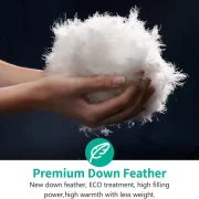 Plumón de Ganso Europeo en Algodón Egipcio de 1600 Hilos APSMILE