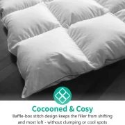 Plumón de Ganso Europeo en Algodón Egipcio de 1600 Hilos APSMILE