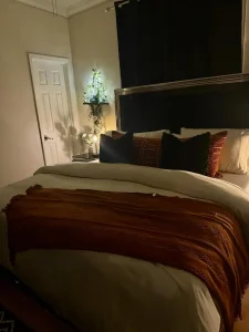 Plumón de Ganso Europeo en Algodón Egipcio de 1600 Hilos APSMILE