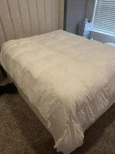 Plumón de Ganso Europeo en Algodón Egipcio de 1600 Hilos APSMILE