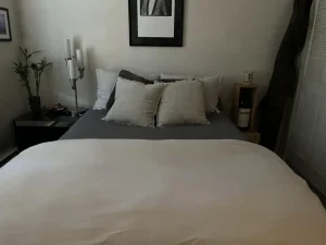 Plumón de Ganso Europeo en Algodón Egipcio de 1600 Hilos APSMILE