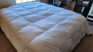 Plumón de Ganso Europeo en Algodón Egipcio de 1600 Hilos APSMILE