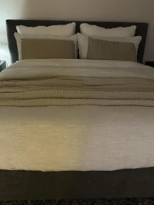 Plumón de Ganso Europeo en Algodón Egipcio de 1600 Hilos APSMILE