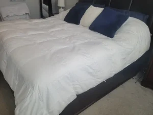 Plumón de Ganso Europeo en Algodón Egipcio de 1600 Hilos APSMILE