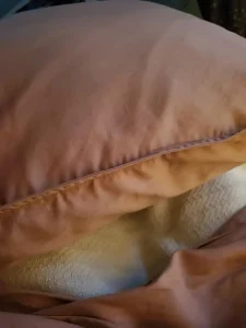 Sábanas Premium de Algodón TENCEL™ Double Stitch