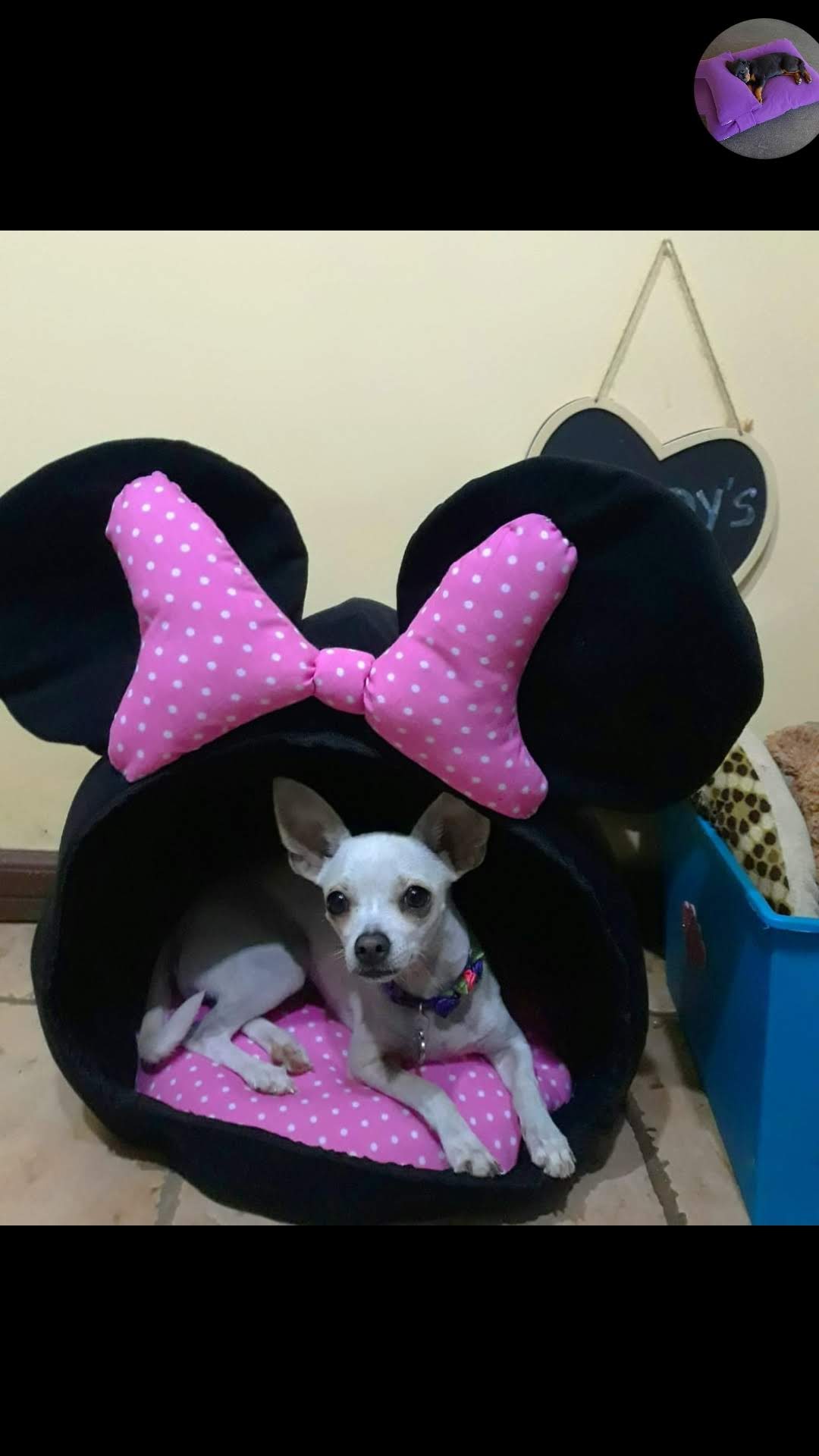 Trabajo de Sueños impresos